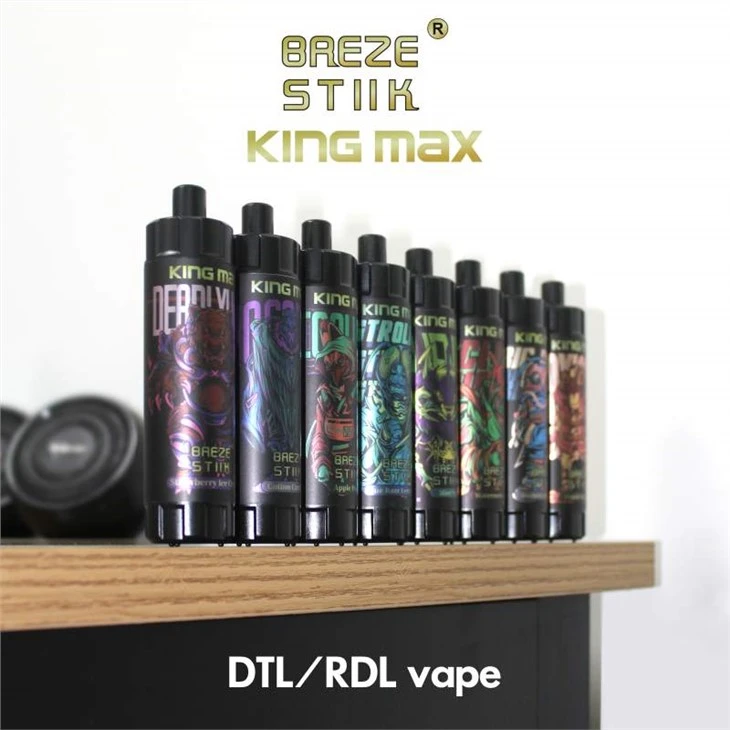 Breze Stiik King Max 10000