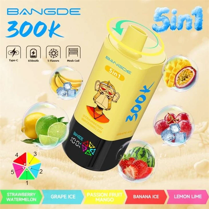 BANG DE 300K manufacturers