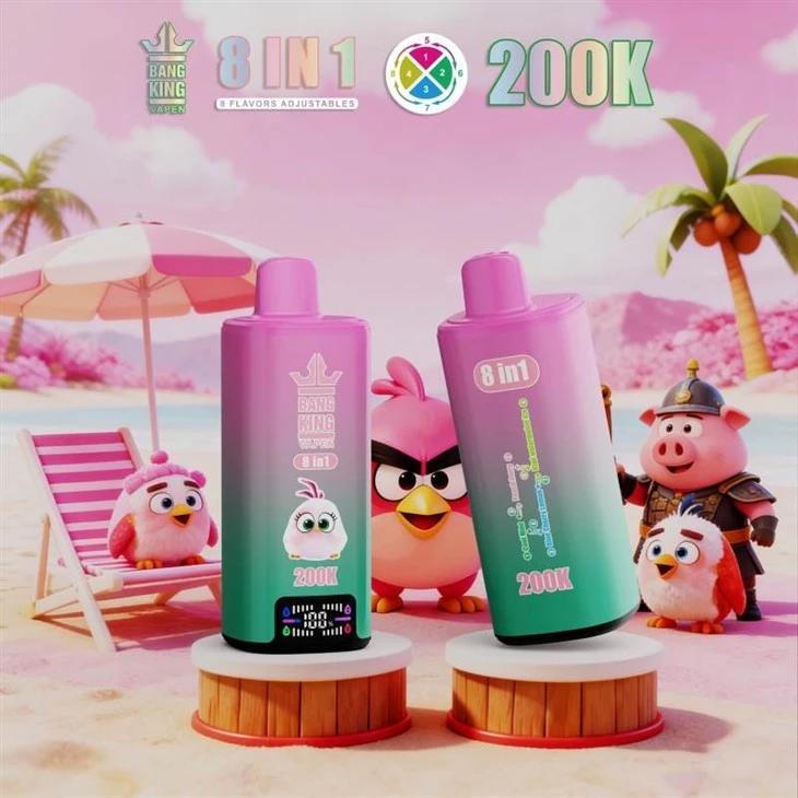 BANG KING VAPEN 200000 8IN1 factory