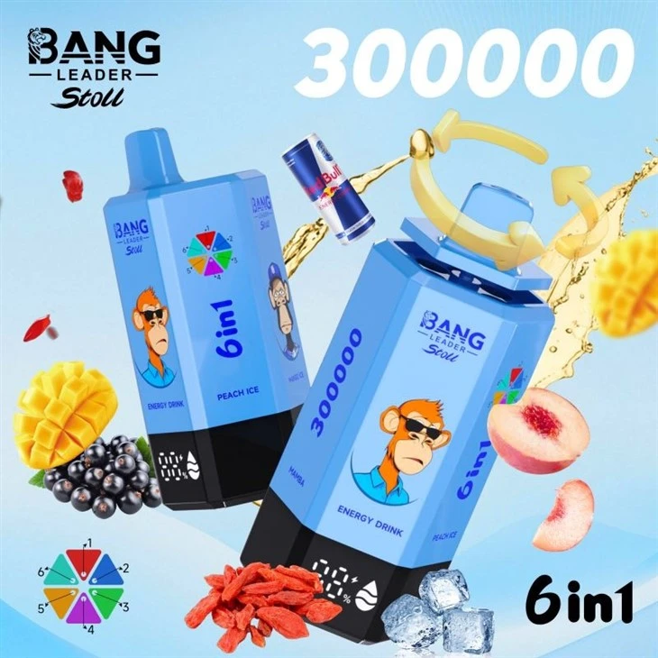 bang leader 300000 16