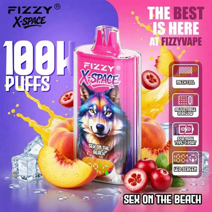 Fizzy X Space 100K