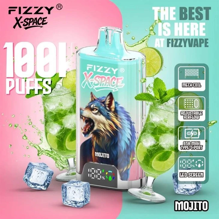 Fizzy X Space 100K factory