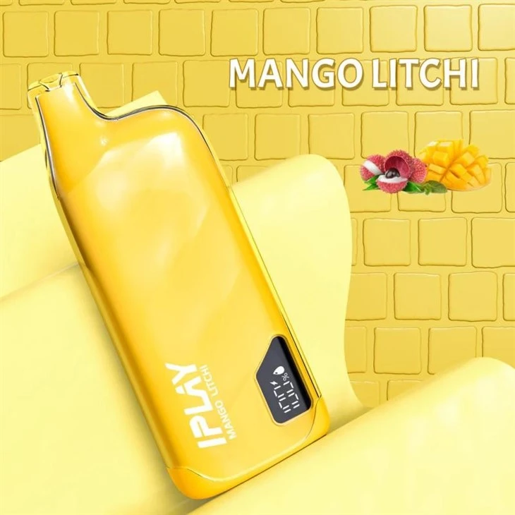 MangoLitchi_IPLAY XBOX PRO 10000