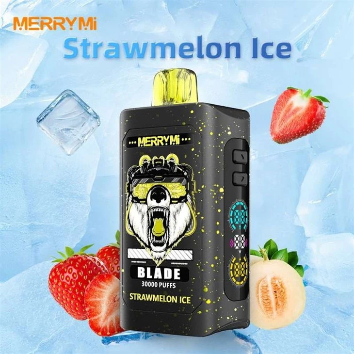 Merry Mi Blade 30000 price