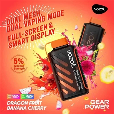 Jak je na tom recenze Vozol Gear Power Review?