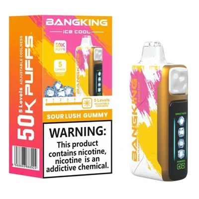 BANGKING ICE COOL 60K vysokokapacitní-jednorázový dobíjecí nastavitelný elekt...