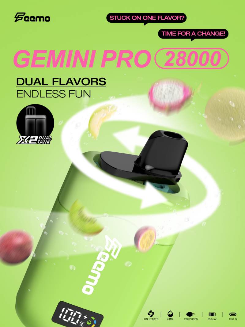 Feemo GEMINI PRO 28000 17