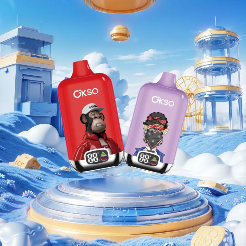 OKSO Digital box 12K 9