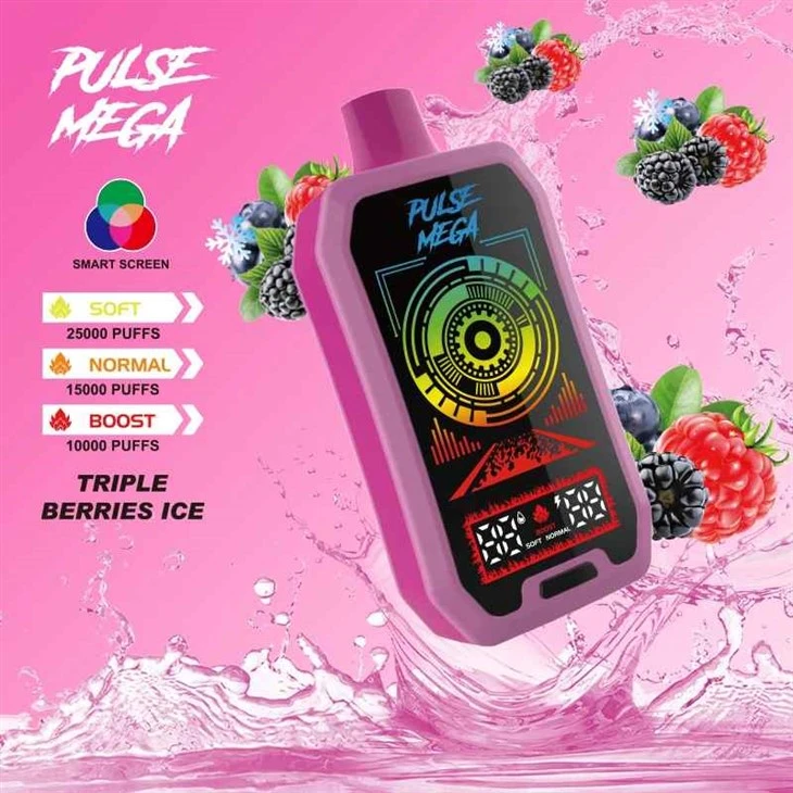 R&M PULSE MEGA 25000 Puffs