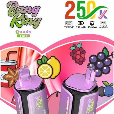 Čtyřkolky BANG KING 250 000
