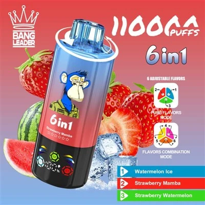 Leader Bang 110k Puffs
