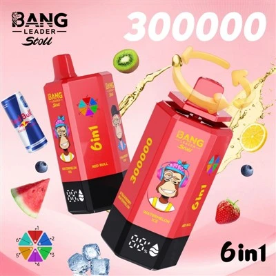 Bang Leader 300 tis