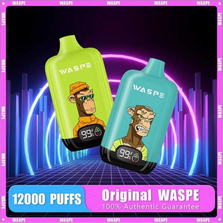 WASPE Digital Box 12000 2 WASPE Digital Box 12000 2